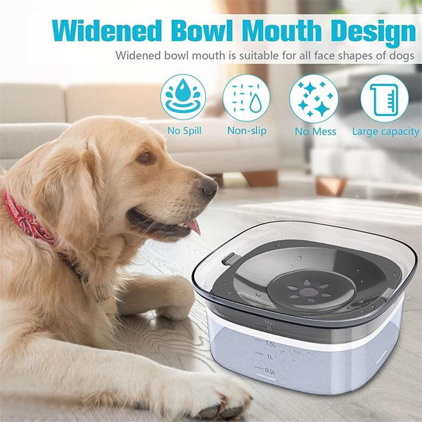 Bol d’eau pour chien de 70 oz Bol pour chien anti-éclaboussures