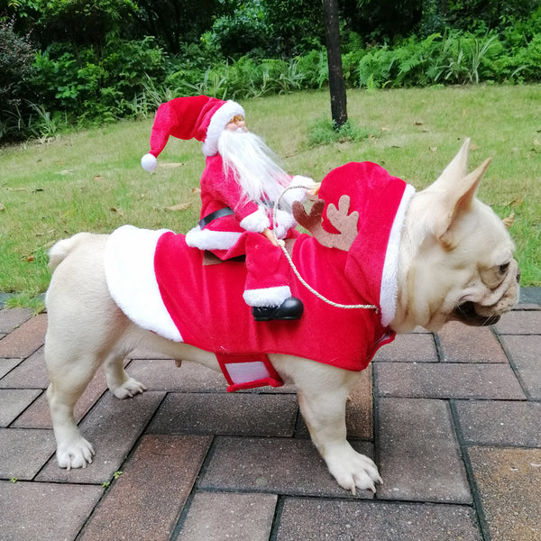 Chien Noël Vêtements Père Noël Chevauchant Cerf Opération réussie