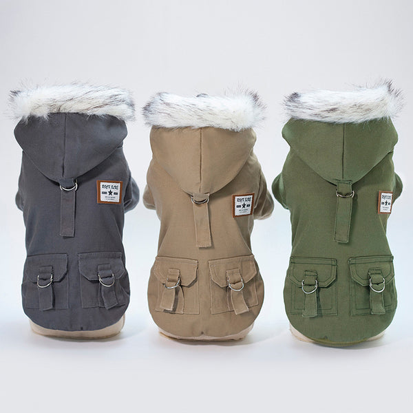 Casquette chien manteau