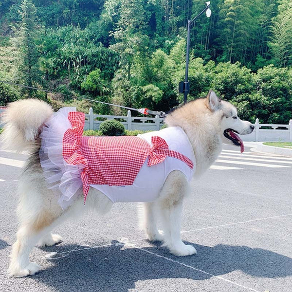 Vêtements pour chiens Princesse Chien Costume Labrador Golden