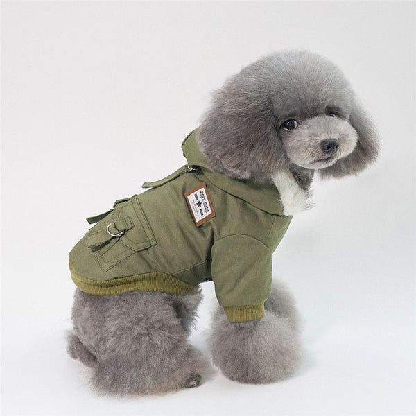 Casquette chien manteau