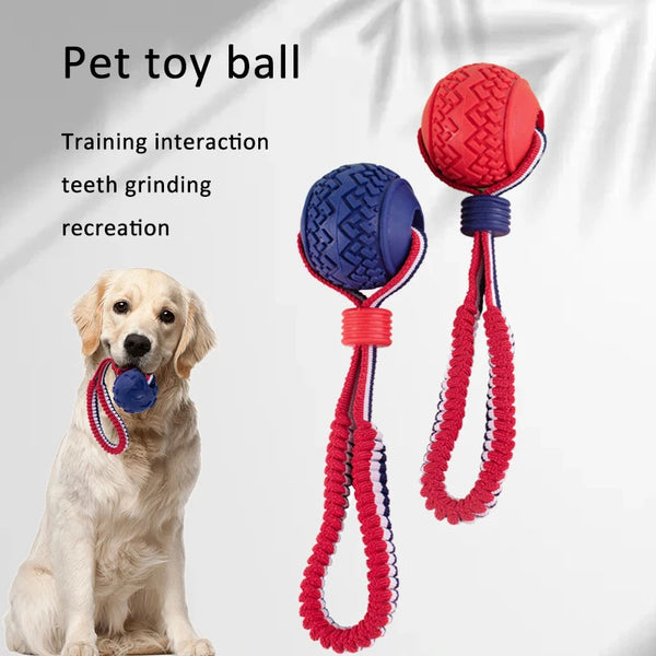 Balle de jouet interactive pour chien Anneau de dentition interactif