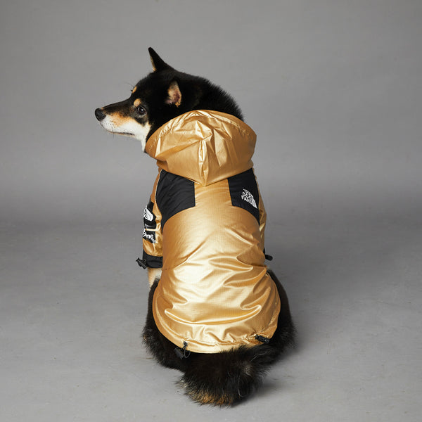 Chien Grand Chien Imperméable Veste pour animaux de compagnie