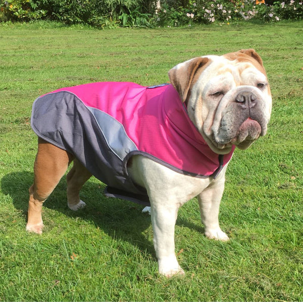 Poncho d’extérieur imperméable pour animaux de compagnie