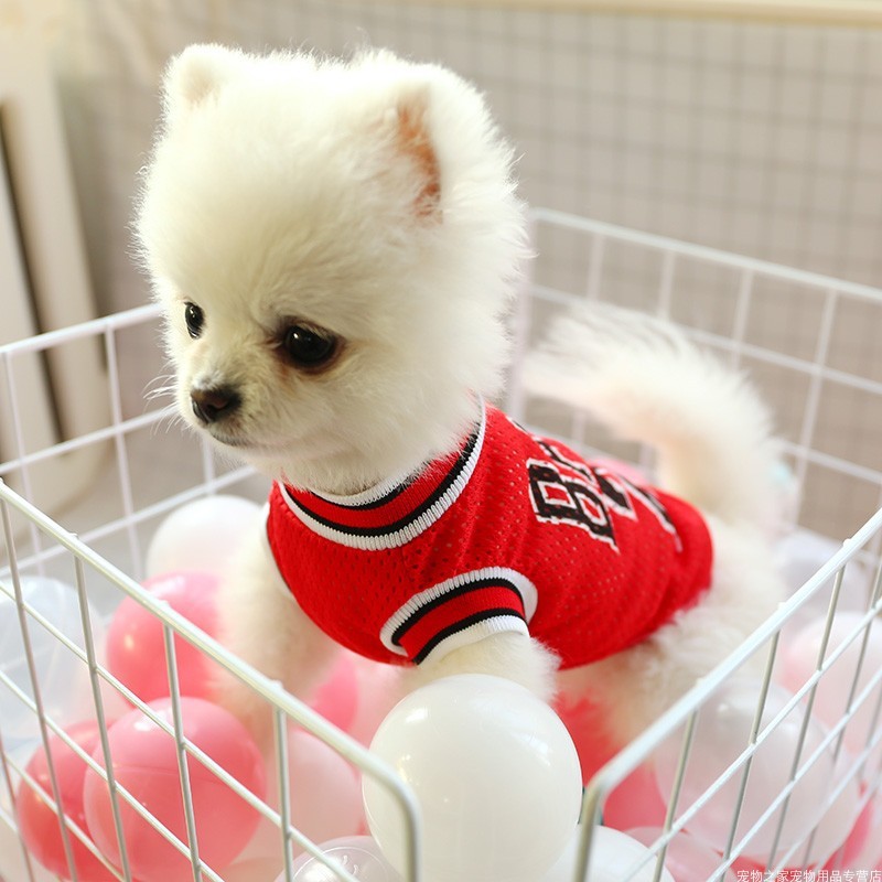 Chien Vêtements D’été Teddy Gilet Respirant