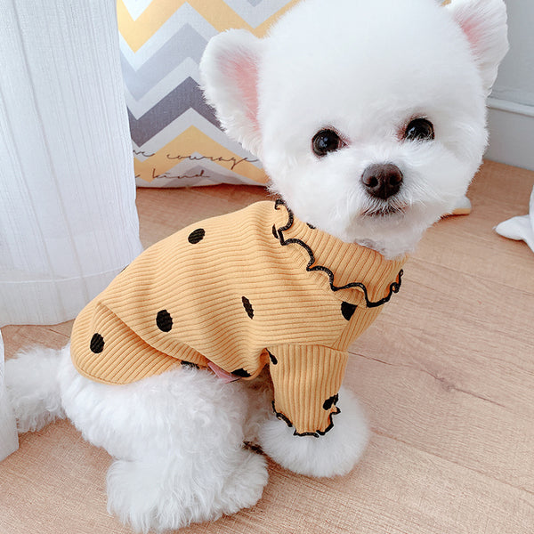 Casquette chien manteau
