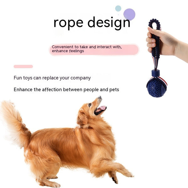 Balle de jouet interactive pour chien Anneau de dentition interactif