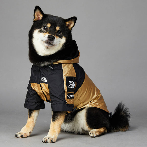 Chien Grand Chien Imperméable Veste pour animaux de compagnie
